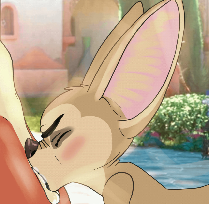 animated anthro blush canid canine disney duo fellatio fennec finnick fox furry-artist genitals hi_res male male/male mammal nick_wilde oral penile penis sex short_playtime yaoi zootopia