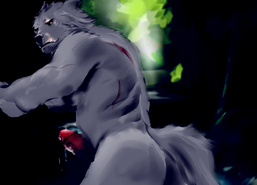 aban_wrench ambiguous_fluids animal_humanoid ass bulge canid canid_humanoid canine canine_humanoid canis fur genitals grey_body grey_fur hi_res humanoid humanoid_genitalia male mammal mammal_humanoid muscular nude penis raised_tail solo tail were werecanid werecanine werewolf wolf wolf_humanoid