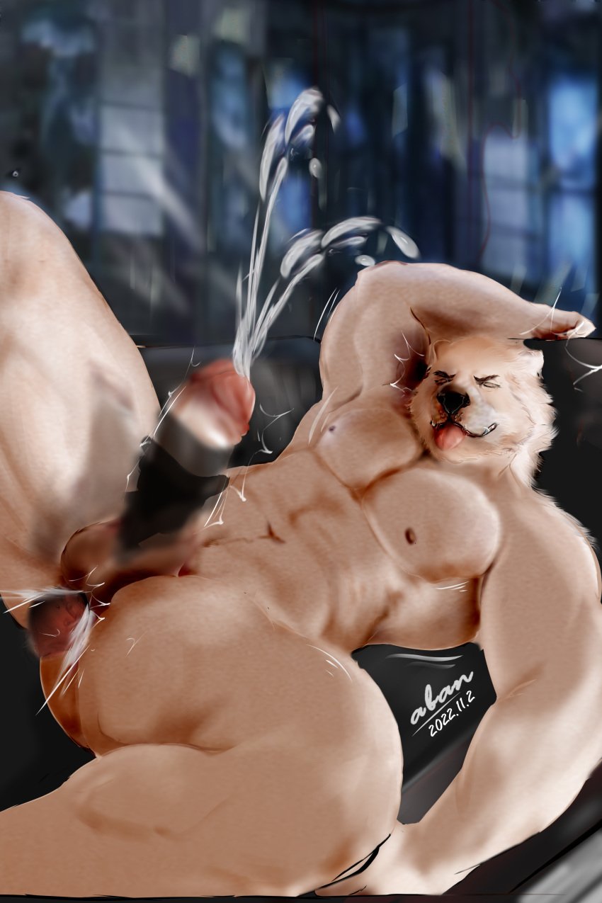 aban_wrench absurd_res ambiguous_fluids anal anal_sex ass bear black_nose bulge canid canine ejaculation ejaculation_while_penetrated fur furniture genitals hi_res humanoid humanoid_genitalia male mammal masturbation muscular nipples nude penetration penile penile_masturbation penile_penetration penis penis_in_ass pupil_dilation red_eyes sofa solo tongue tongue_out vein veiny_penis were werecanid werecanine werewolf white_body white_fur