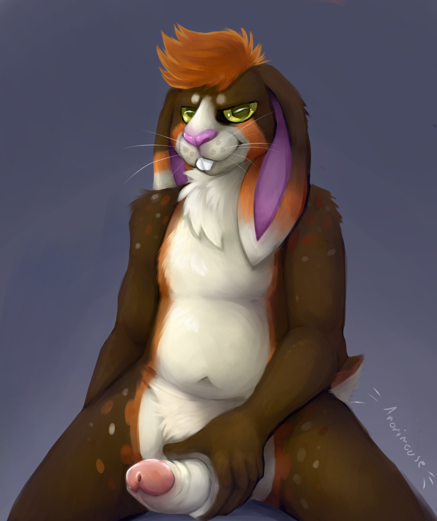 1boy anonimouse anthro artist_name body_fur brown_fur cottontail erection foreskin foreskin_folds genitals hi_res holding_penis humanoid_genitalia humanoid_penis intact lagomorph leporid looking_at_viewer looking_down male male_only mammal nude_male orange_hair penis rabbit retracted_foreskin smile smirk smooth_penis solo uncut white_countershading yellow_eyes