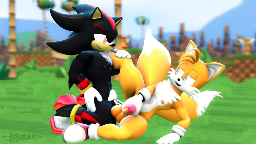 3d anal anal_sex big_ass big_balls big_butt big_cock big_penis exposed_torso footwear gay gay_anal gay_sex green_hill_zone handwear miduno sega sex shadow_the_hedgehog sonic_(series) sonic_the_hedgehog_(series) source_filmmaker tails tails_the_fox yaoi