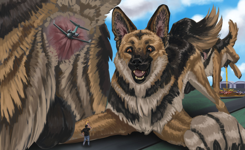 Absurd Res Rule 34 Image