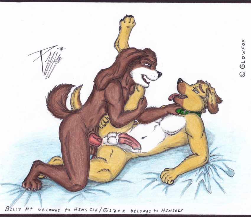 anal anal_sex anthro ass billy blue brown canine collar cum fur furry furry_only gay glowfox green kneeling knot male moan penis precum sex sheets side_view tail tan testicles tongue