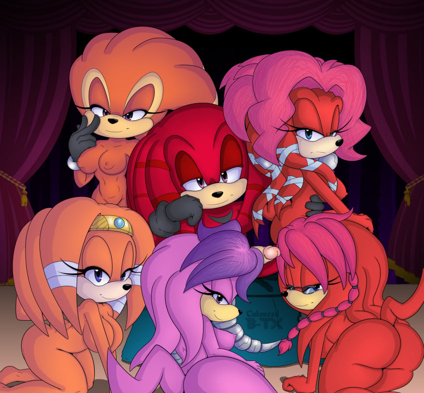 anthro archie_comics bigdon1992 bladetigerx blush breasts cage_the_echidna canon_x_oc digital_media_(artwork) echidna female harem incest ink julie-su lara-su lien-da male mammal monotreme nude nyuroraxbigdon sega shade_the_echidna smile sonic_(series) sonic_oc sonic_the_hedgehog_(archie) sonic_the_hedgehog_(comics) straight tikal_the_echidna video_games