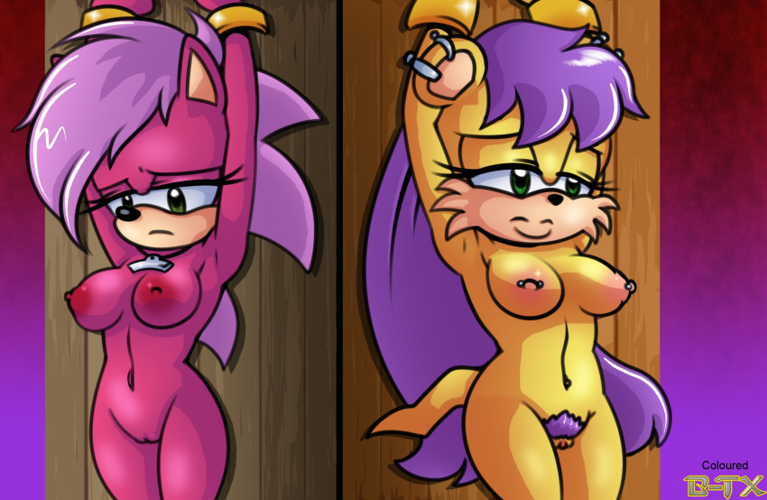 2girls anthro bladetigerx captured femsub furry furry_only green_eyes hairy_pussy hyoumaru mina_mongoose necklace nude nude_female pierced_ears pierced_nipples piercing piercings pink_fur pubic_hair purple_hair pussy restrained sonia_the_hedgehog sonic_(series) sonic_the_hedgehog_(archie) sonic_the_hedgehog_(comics) sonic_underground tail tied_up unshaved_pussy yellow_fur