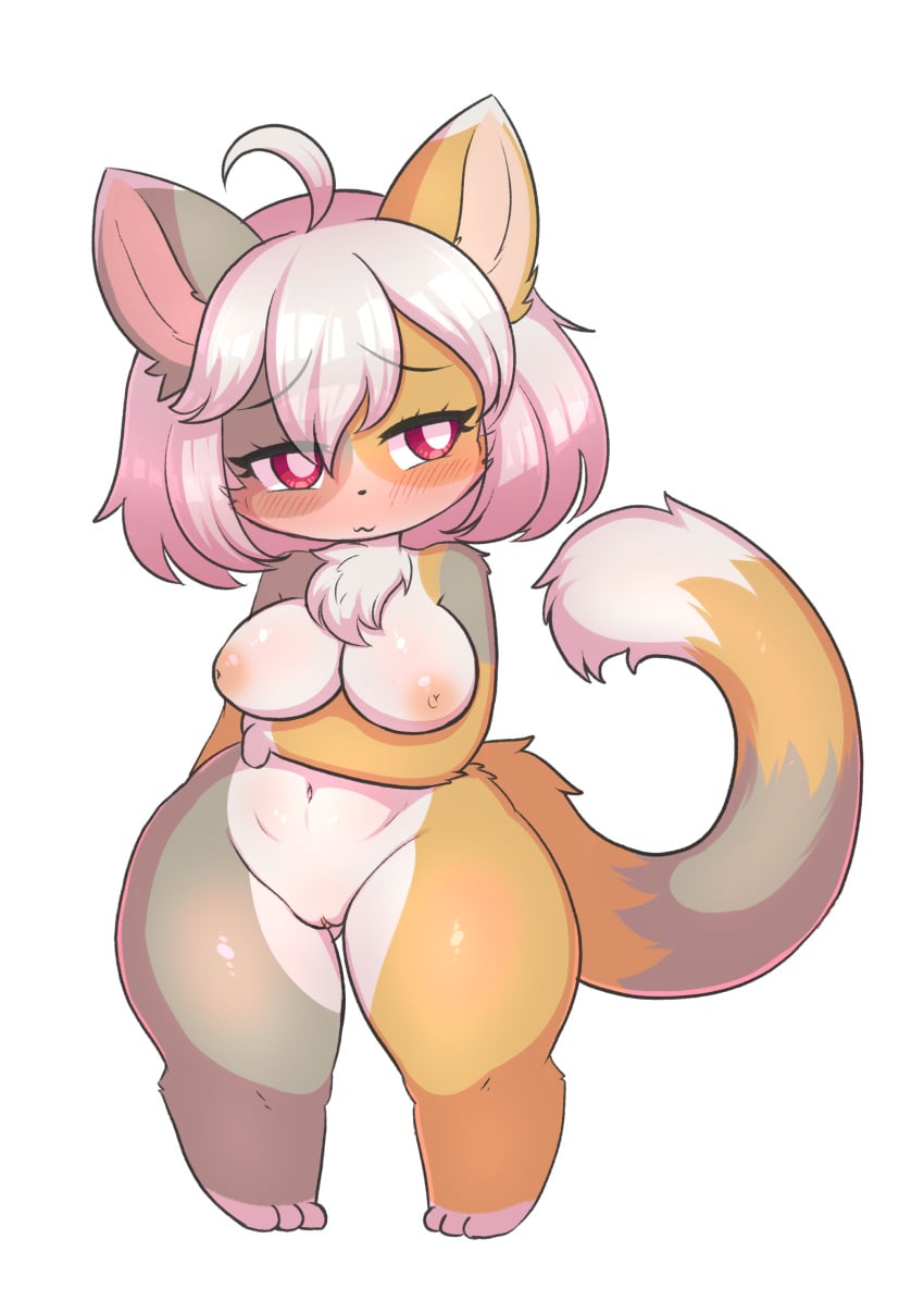 Arcanis (Hahaluckyme) Rule 34 Image
