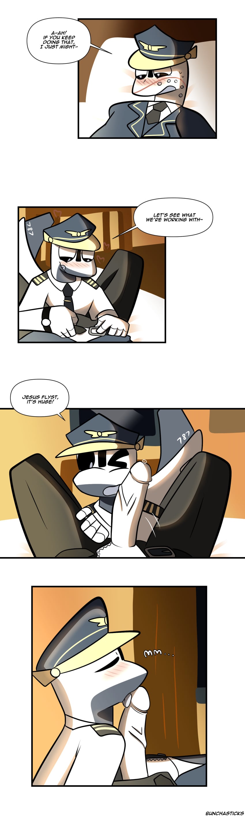 Boeing Rule 34 Image