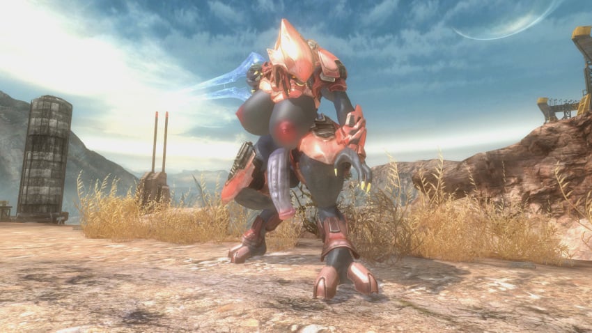 Sangheili (Halo (Series)) Rule 34 Image