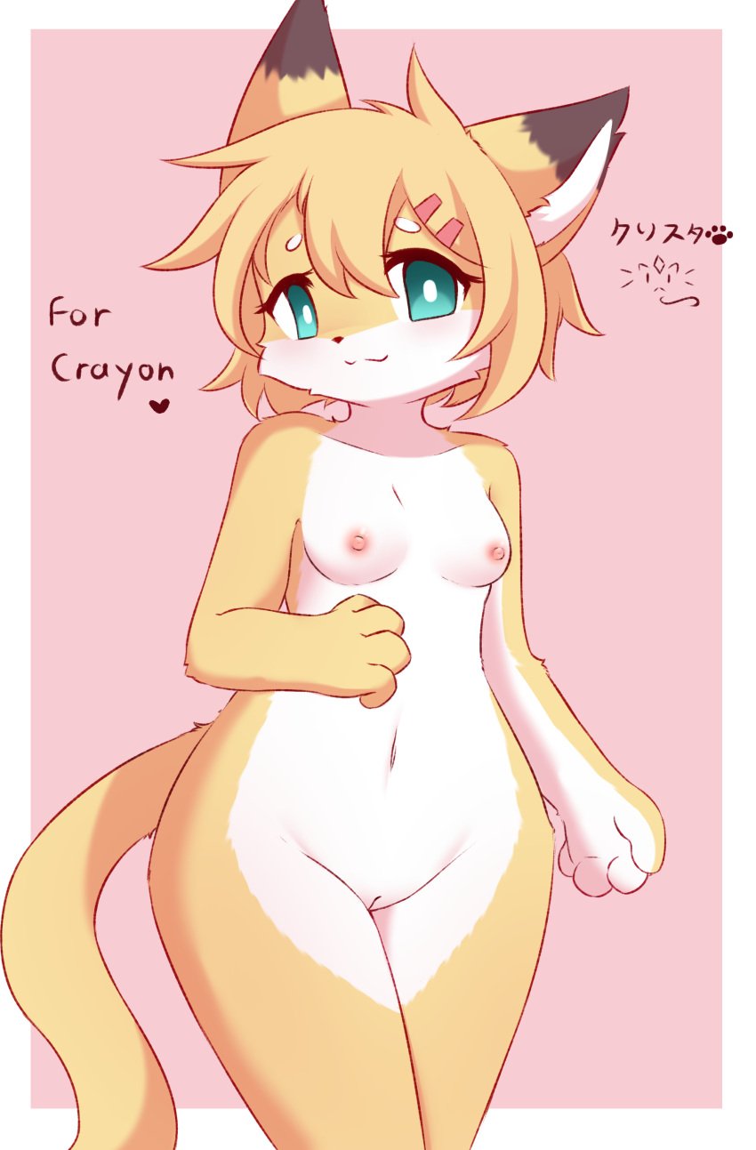 absurd_res anthro breasts domestic_cat felid feline felis female fur genitals hairclips_(crayon) hi_res kemono kryztar mammal pussy solo yellow_body yellow_fur young