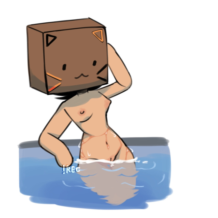 catgirl cuptoast pool recc000 tagme