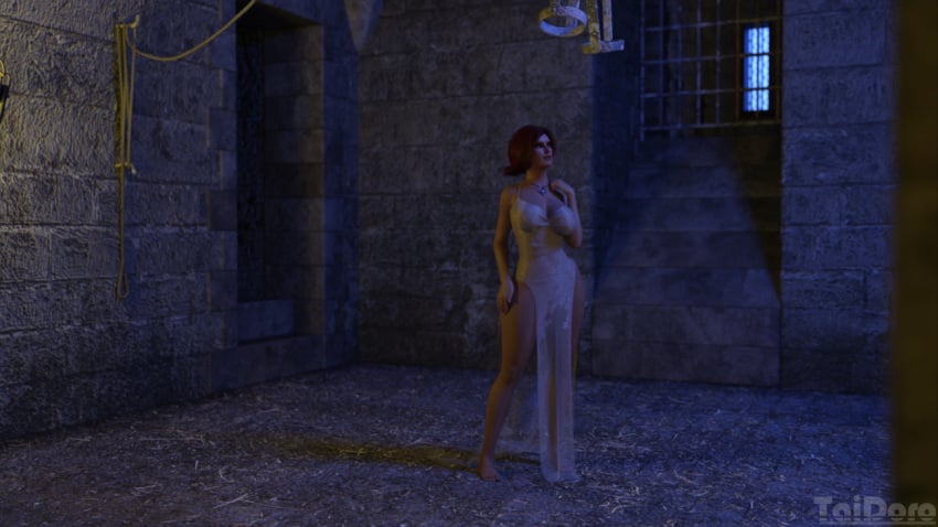 3d 3d_(artwork) 3dx dress taidoro triss_merigold witcher_(character)