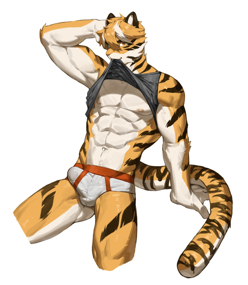 abs absurd_res anthro art_uza biceps bulge clothing countershade_arms countershade_face countershade_fur countershade_neck countershade_tail countershade_torso countershading felid fur hi_res male male_only mammal muscular muscular_anthro muscular_male orange_body orange_fur pantherine simple_background solo striped_body striped_fur stripes tail tiger underwear uza_(hellme) vein veiny_muscles white_background