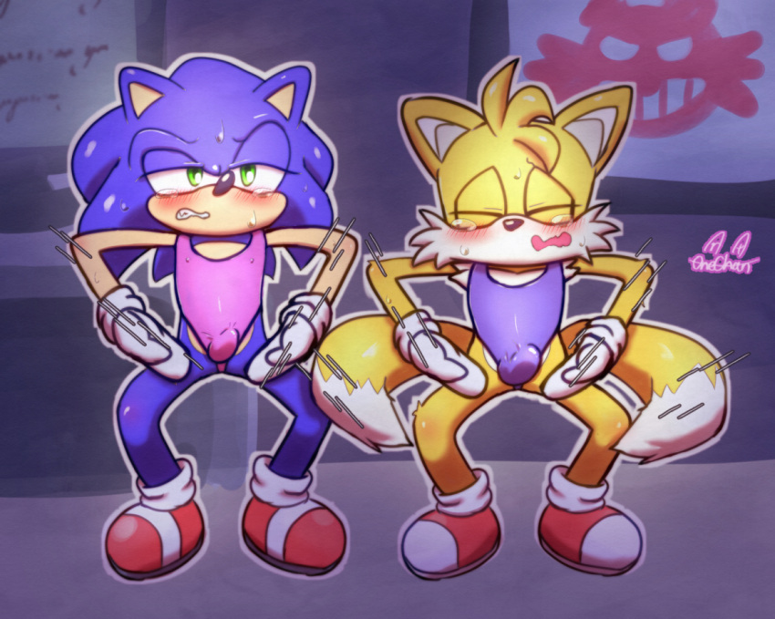 blush bulge clothing duo embarrassed haigure humiliation hypnosis laboratory leotard male male/male mind_control monitor non-human onechan sega sonic_(series) sonic_the_hedgehog sonic_the_hedgehog_(series) swimwear tails