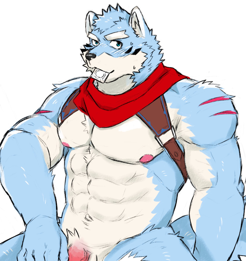 abs anthro blue_body blue_eyes blue_fur canid canine canis condom condom_in_mouth crave_saga flaccid fur genitals hakuma_(crave_saga) hi_res male mammal mostly_nude muscular muscular_anthro muscular_male nipples object_in_mouth pecs penis penis_base scar scarf sexual_barrier_device simple_background solo straps tiger_029 white_background wolf