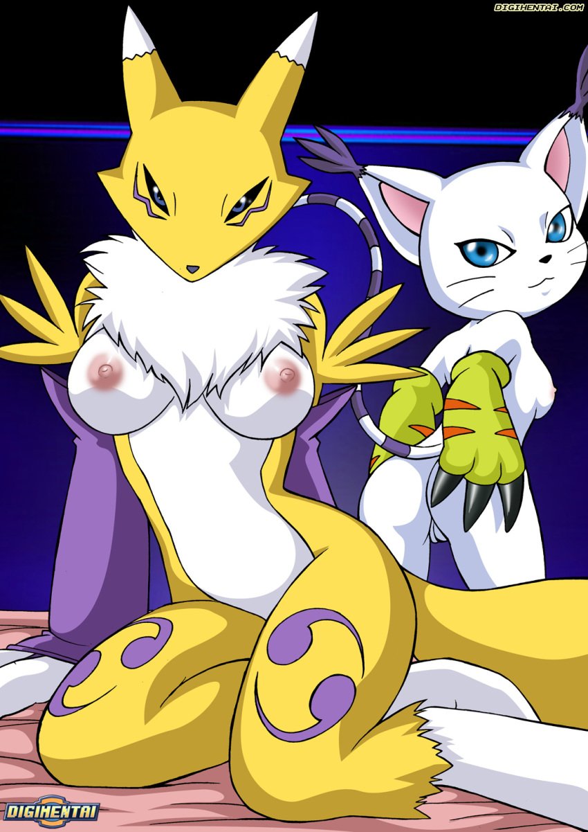 2010 ass bed bedroom bedroom_eyes big_ass big_breasts big_butt blue_eyes breasts cat_humanoid digihentai digimon digimon_(species) digimon_adventure digimon_tamers erect_nipples feline female_fox fox furry gatomon hourglass_figure looking_at_viewer looking_back medium_breasts neck_tuft nipples palcomix presenting presenting_ass presenting_hindquarters presenting_pussy pussy renamon seductive seductive_eyes seductive_gaze seductive_look seductive_pose seductive_smile tease teasing thighs vagina voluptuous voluptuous_female white_fur wide_hips yellow_fur