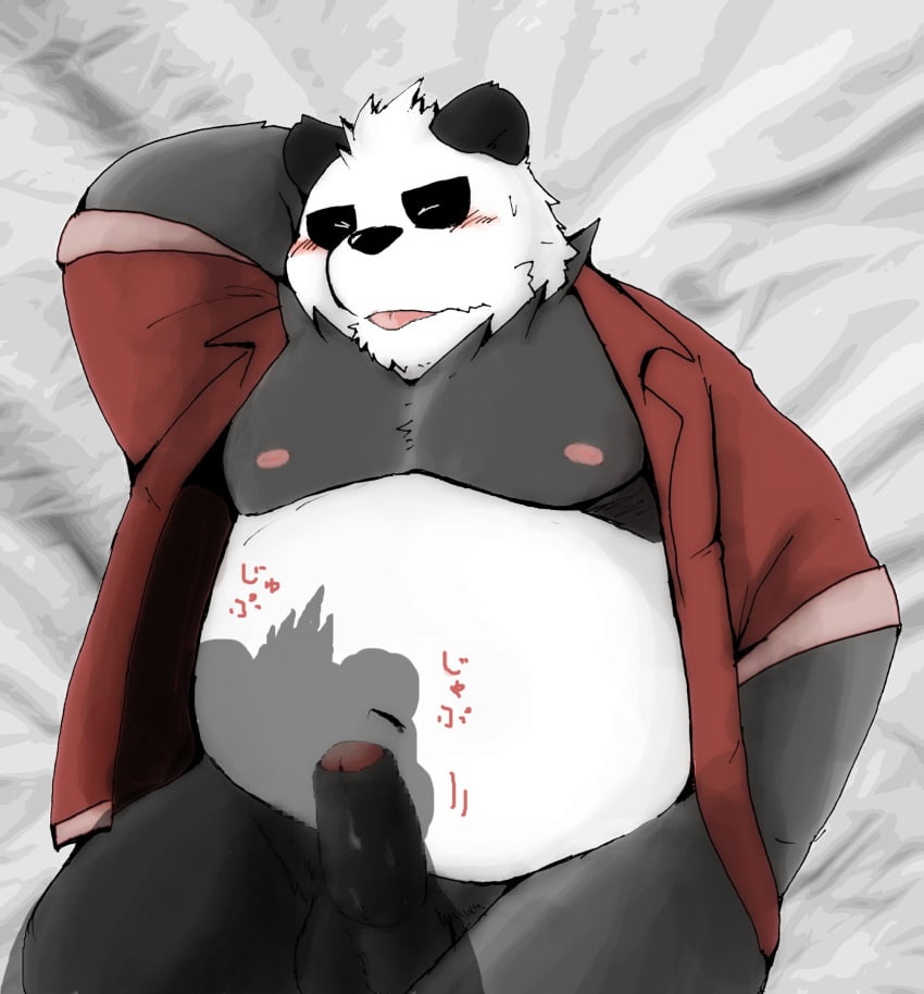 2023 anthro balls bear belly black_body black_nose blush closed_eyes clothed clothing erection genitals giant_panda hi_res kemono lying male mammal moobs navel nipples open_clothing open_shirt open_topwear overweight overweight_male penis shirt snow_utamaru solo_focus tongue tongue_out topwear white_body