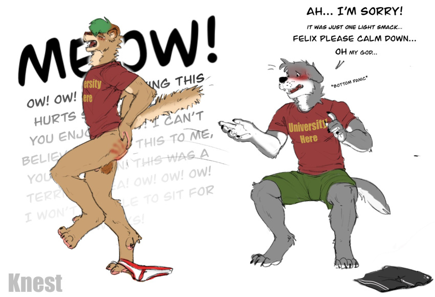 2023 after_spanking anthro apology ass balls blush bottomless bottomwear butt_slap canid canine clothed clothing clothing_around_one_leg complaining duo felid feline genitals green_hair hair hand_print hi_res humor knest male male/male mammal pain penis red_butt red_clothing red_shirt red_topwear role_reversal shirt shorts simple_background sitting slap spanking speech_bubble standing topwear underwear underwear_around_one_leg white_background