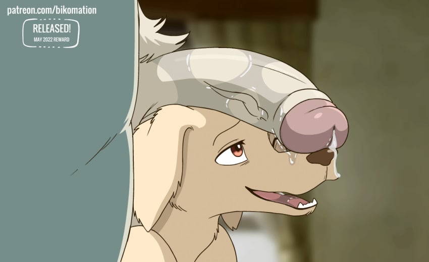 2d_animation anal_juice anal_juice_on_penis animated animated_gif anthro anthro_on_anthro beastars big_penis bikomation bird_dog bodily_fluids body_hair brown_eyes brown_nose canid canine canis cheek_tuft close-up conditional_dnp cum cum_drip cum_dripping_from_penis cum_in_mouth cum_in_nose cum_inside cum_on_penis cum_on_tongue cum_string cumshot cute digital_media_(artwork) domestic_dog dripping duo ejaculation erection eyebrows facial_tuft fangs floppy_ears fluffy fluffy_ears foreskin frame_by_frame friends fur genital_fluids genital_fluids_drip genitals gif grey_body grey_fur half-closed_eyes hunting_dog infinite_cum infinite_genital_fluids jack_(beastars) labrador legoshi_(beastars) licking licking_cum licking_penis long_tongue looking_at_genitalia looking_at_penis looking_pleasured loop male male/male male_only mammal narrowed_eyes netflix one_eye_closed open_mouth oral oral_sex partially_retracted_foreskin penile penis penis_focus penis_lick penis_on_face penis_on_head precum precum_on_face precum_on_penis pubes retriever roommate saliva saliva_on_face saliva_on_penis saliva_on_tongue saliva_string sex short_playtime swallowing tan_body tan_fur teeth thick_penis tongue tongue_out tonguejob tuft vein veiny_penis wolf yellow_body yellow_fur