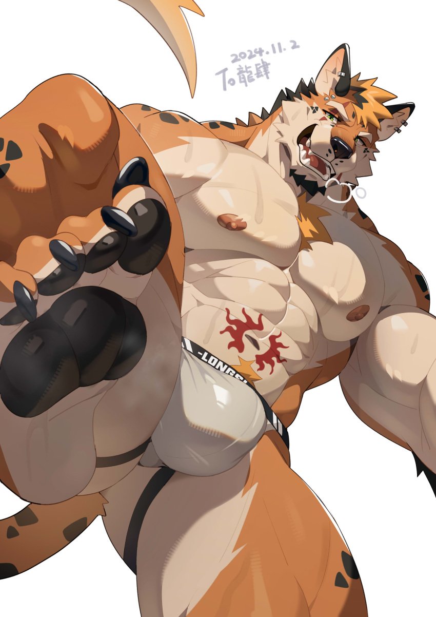 abs absurd_res anthro beard bulge canid canine claws clothing digital_drawing_(artwork) digital_media_(artwork) facial_hair forgetch fur hair hi_res jockstrap male male_anthro mammal muscular muscular_anthro muscular_male nipples simple_background tail teeth toe_claws underwear white_background