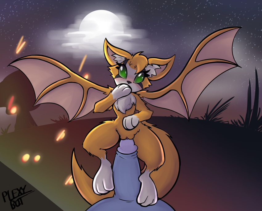 anthro bat blush duo dust:_an_elysian_tail female fidget_(elysian_tail) first_person_view fur genitals green_eyes hi_res looking_at_viewer male male/female mammal membrane_(anatomy) membranous_wings nimbat nude orange_body orange_fur penis plexybot pussy wings