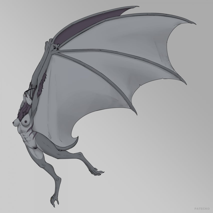 2023 anthro bat breasts claws eski female flying fur genitals grey_body grey_fur hi_res mammal membrane_(anatomy) membranous_wings nipple_piercing nipples nude patecko piercing pose pussy simple_background solo stripes wings