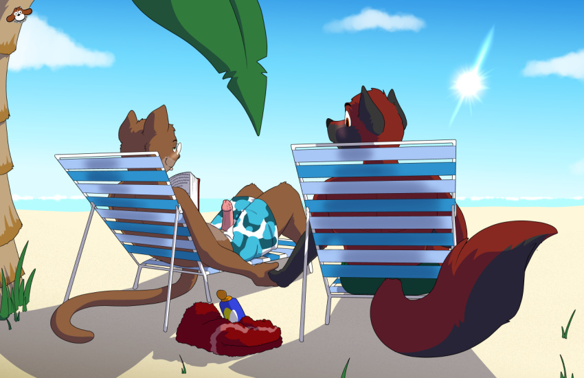 anthro beach beach_chair blaze_wolf blush book canid canine canis clothing domestic_cat duo erection felid feline felis jesse_cat looking_at_another looking_at_partner male male/male mammal reyn_goldfur sand sea seaside swimwear teasing water wolf