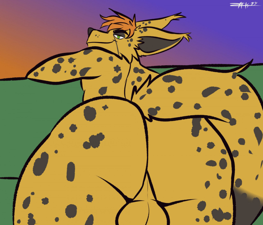 2022 anthro ass backsack balls big_ass big_ass_(male) big_butt bubble_ass bubble_butt canid canine cheetah dommi_chox_(domizoni) fat_ass fat_butt felid feline fox genitals huge_ass huge_butt hybrid looking_at_viewer male mammal plump_ass plump_butt round_ass round_butt smile smiling_at_viewer solo spots spotted_body tail thick_ass thick_butt thick_thighs zackdadawg