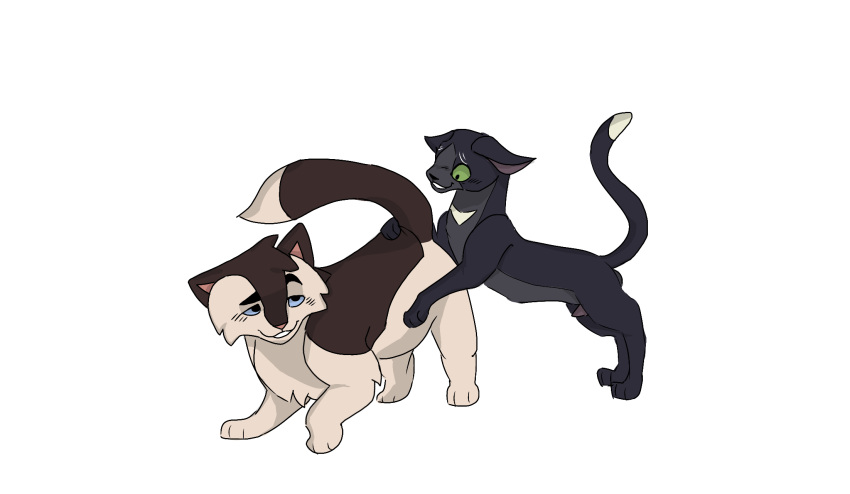 animal_genitalia animal_penis anonymous_artist aroused_face aroused_smile barley_(warriors) blush_lines boner domestic_cat feral gay no_background ravenpaw_(warriors) warriors_(cats) wcanimated