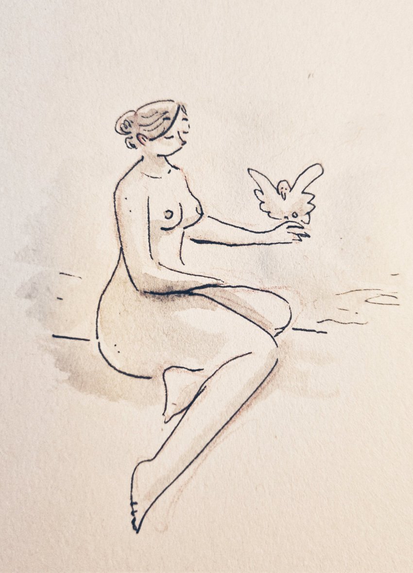 1girls bird completely_nude completely_nude_female faune female nonsexual_nudity