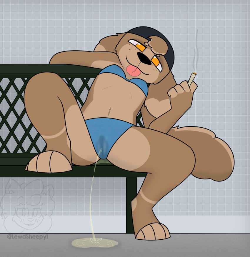 2020s 2023 absurd_res anthro bench bikini black_clothing black_hat black_headwear black_nose blue_bikini blue_clothing blue_swimwear bodily_fluids breasts brown_body brown_fur camel_toe canid canine canis clothed clothing detailed_background digital_drawing_(artwork) digital_media_(artwork) domestic_dog drugs female full-length_portrait fur furry genital_fluids hat head_tuft headgear headwear hi_res holding_blunt inside leaning leaning_back leaning_to_side looking_at_viewer mammal marijuana midriff navel peeing pink_tongue plantigrade portrait sam_(sleepysheepy17) shaded sitting sitting_on_bench sleepysheepy17 smoke soft_shading solo stoned substance_intoxication swimwear tail tan_body tan_fur tile tongue tongue_out tuft urine watersports yellow_eyes