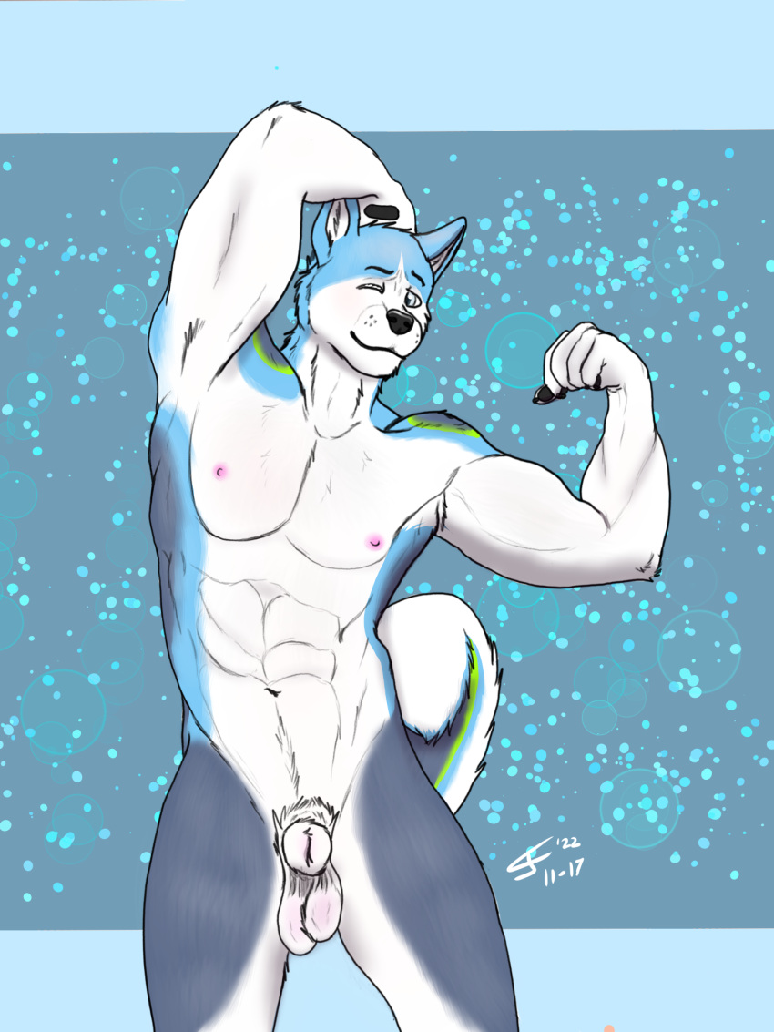 animal_genitalia anthro balls biceps canid canine canine_genitalia canis cj_fauxx~ domestic_dog dustin_husky flexing fully_sheathed genitals hi_res husky male male/male mammal muscular nordic_sled_dog nude pecs sheath solo spitz