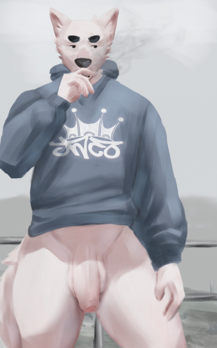 absurd_res anthro canid canine clothed clothing exhibitionism eyebrows fur hi_res hoodie lb3 male male_only mammal muscular muscular_male outside partially_clothed smoking solo thick_eyebrows topwear unimpressed white_body white_fur