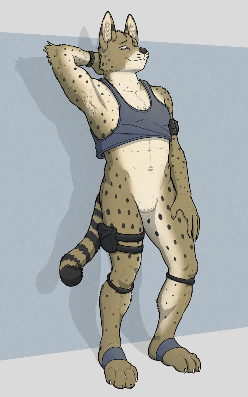 absurd_res aitch ambiguous_gender anthro armpit_hair body_hair felid feline gear hi_res looking_at_viewer male mammal null serval solo