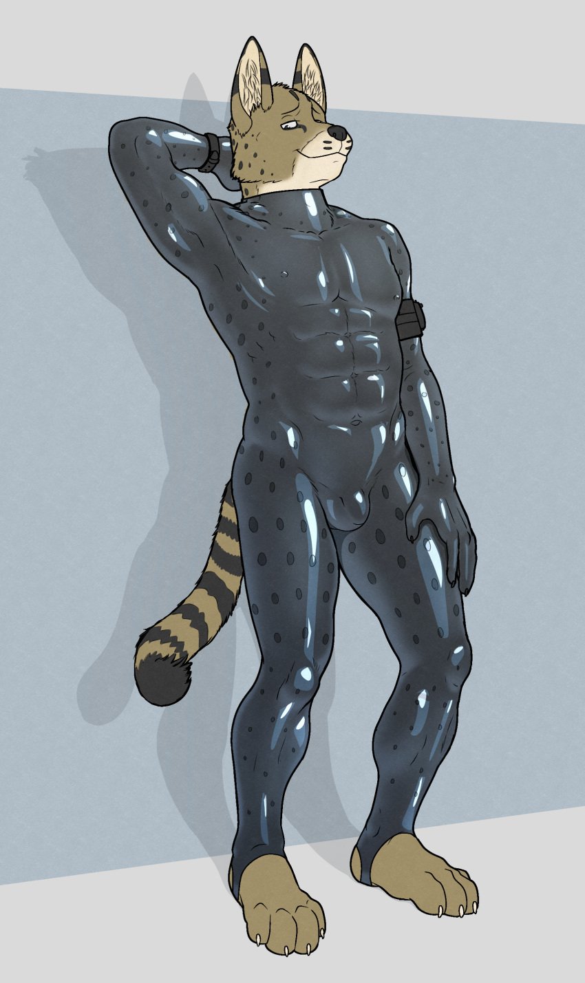 absurd_res aitch anthro bulge clothing felid feline hi_res latex looking_at_viewer male mammal rubber rubber_clothing rubber_suit serval solo