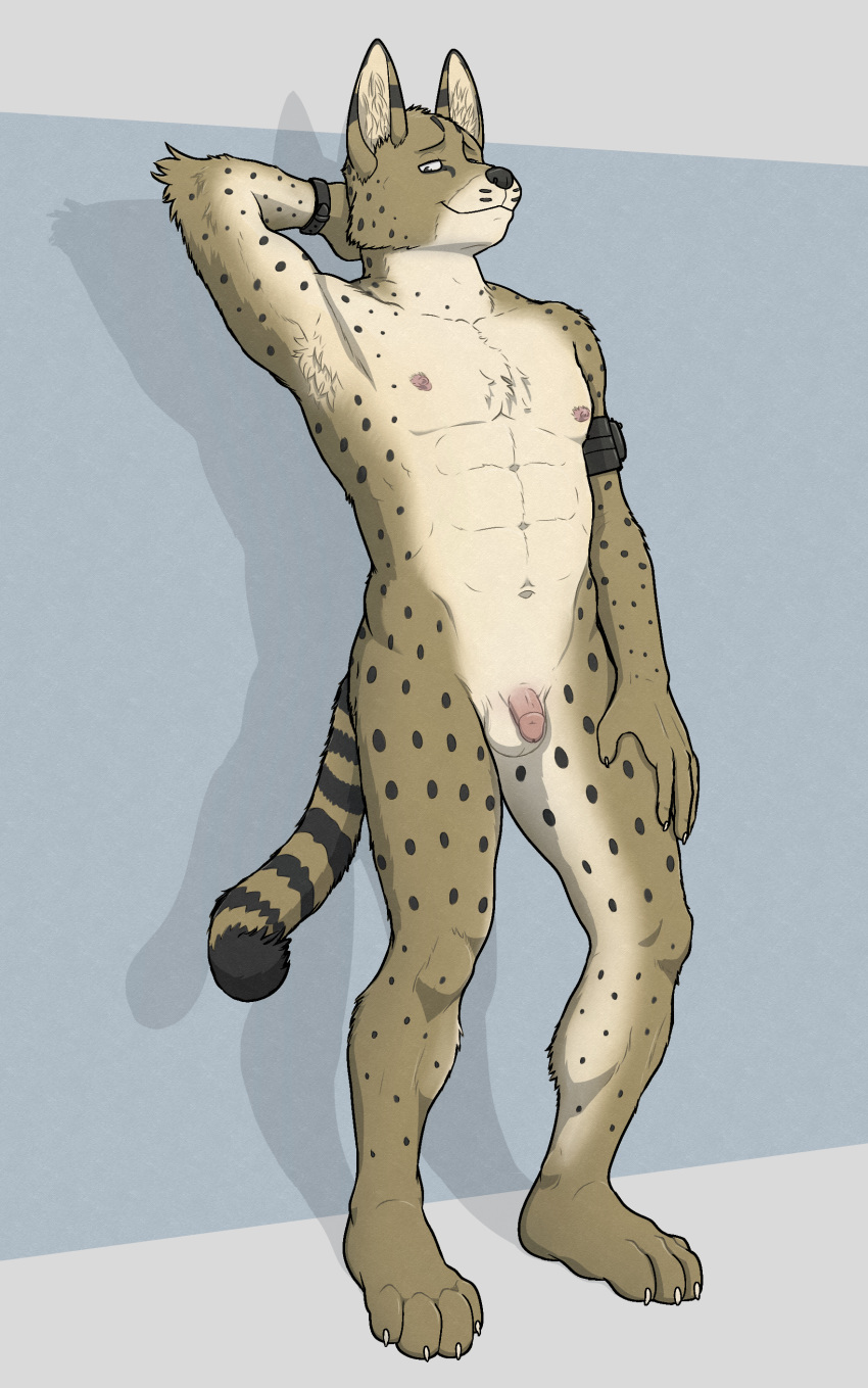 absurd_res aitch anthro armpit_hair body_hair felid feline flaccid genitals hi_res looking_at_viewer male mammal nude penis serval solo