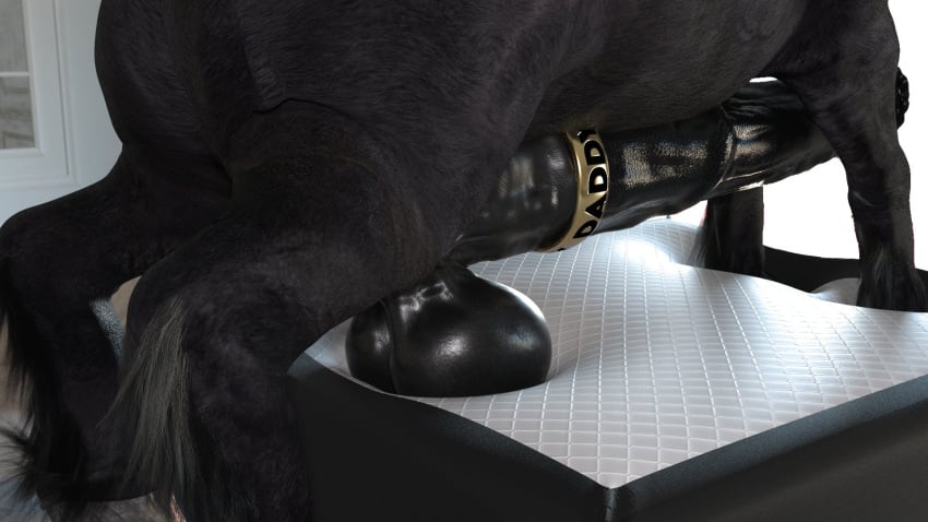 3d 3d_(artwork) animal_genitalia animal_penis balls bed bedroom big_balls big_penis black_body black_fur black_hair black_penis cock_ring equine equine_penis erect_penis erection flared_penis heavy_balls horse horse_penis horsecock huge_balls huge_cock hyper hyper_balls hyper_penis penis presenting presenting_penis rivaliant solo solo_focus solo_male texas_(rivaliant)