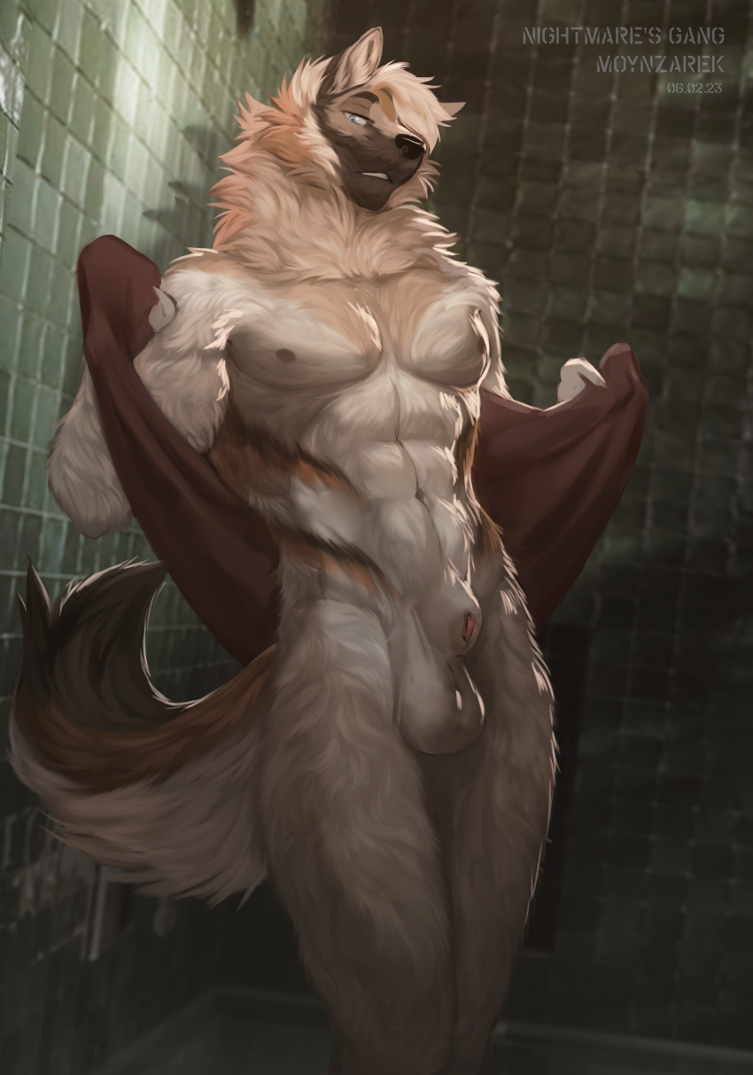 absurd_res animal_genitalia balls canid canine drying fluffy genitals hi_res male male_only mammal moynzarek nude pinup pose sheath shower tasteful_nudity towel