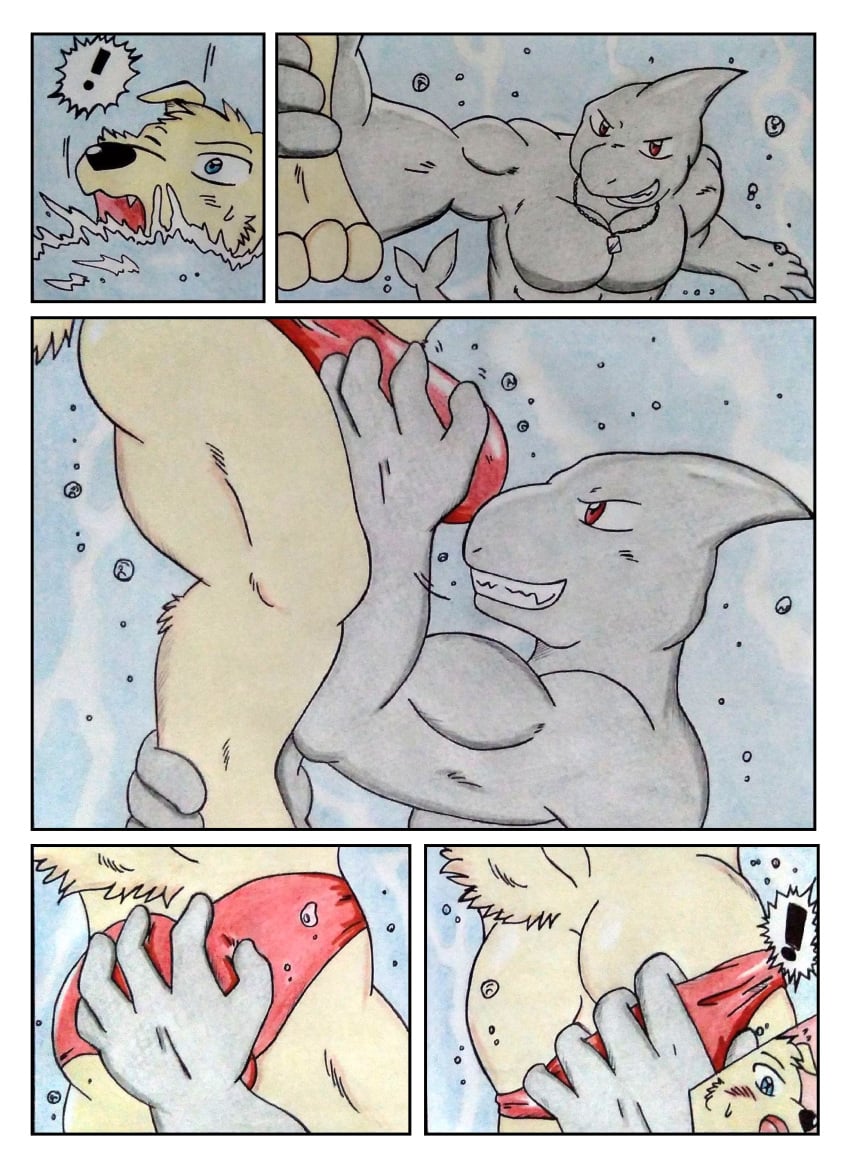 absurd_res anthro ass biceps blue_eyes blush blush_lines bubble bulge butt_grab canid canine canis clothing comic comic_panel dashthefox domestic_dog duo erection fish fur grey_body hand_on_butt hi_res leg_grab male male/male mammal manly marine muscular red_eyes removing_underwear sex shark sharp_teeth surprise surprised_expression surprised_face swimming swimwear teeth touching_bulge traditional_media_(artwork) underwater underwater_sex water yellow_body yellow_fur