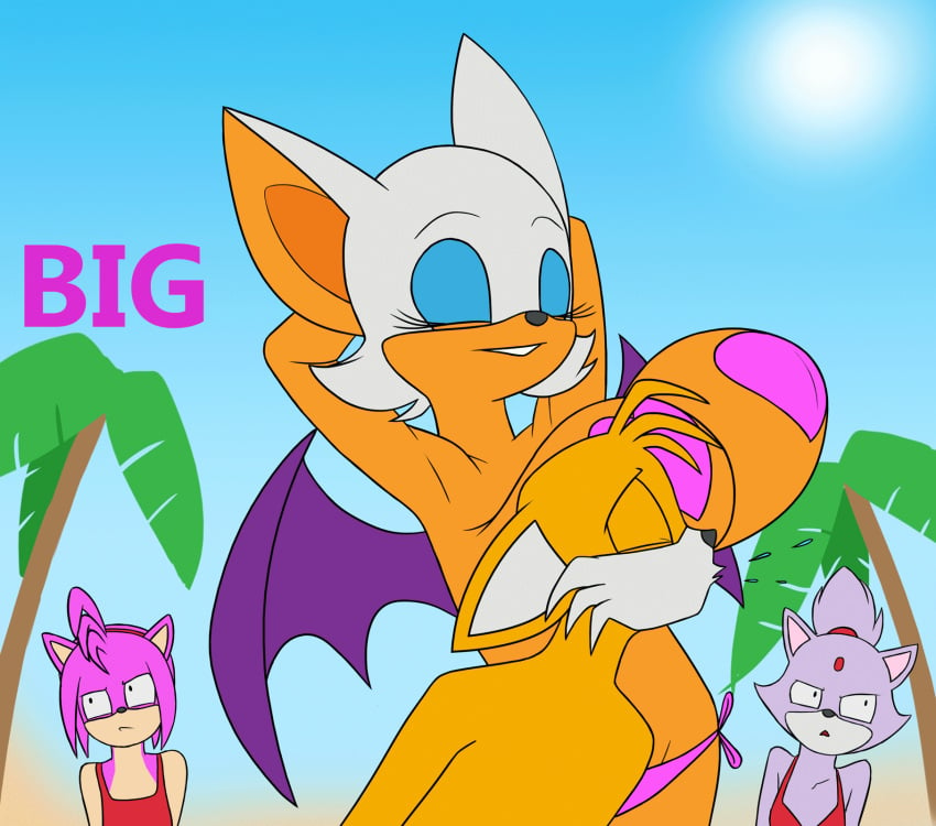 1boy 2d amy_rose animated animated_gif anthro armpits bat beach big_breasts bikini_bottom blaze_the_cat breasts color creatiffy english_text female fox frame_by_frame gif large_breasts loop male meme nipple_pasties older_female pasties rouge_the_bat sega slapping_with_breasts sonic_(series) sonic_adventure_2 sonic_the_hedgehog_(series) tagme tails_the_fox tease text younger_male