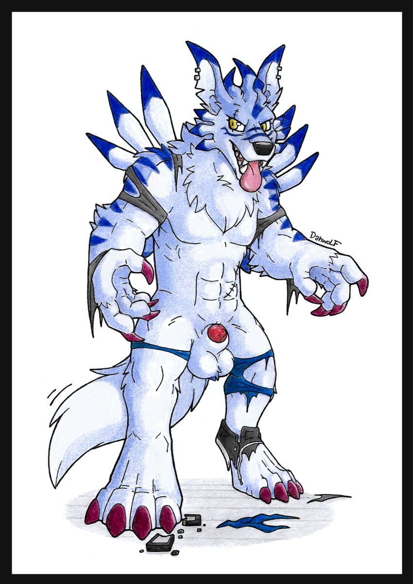 2021 4_fingers 4_toes abs after_transformation animal_genitalia animal_penis anthro arm_tuft ball_tuft balls bandai_namco blue_body blue_fur blue_markings blue_stripes canid canine canine_genitalia canine_penis chest_tuft claws clothing danwolf15 digimon digimon_(species) ear_piercing eye_scar facial_scar feathers feet fingers fur genitals hi_res male mammal markings muscular muscular_anthro muscular_male penis piercing pink_tongue scar sharp_teeth smile striped_body striped_fur stripes tail teeth toe_claws toes tongue tongue_out torn_clothing traditional_media_(artwork) tuft were werecanid werecanine weregarurumon werewolf yellow_eyes