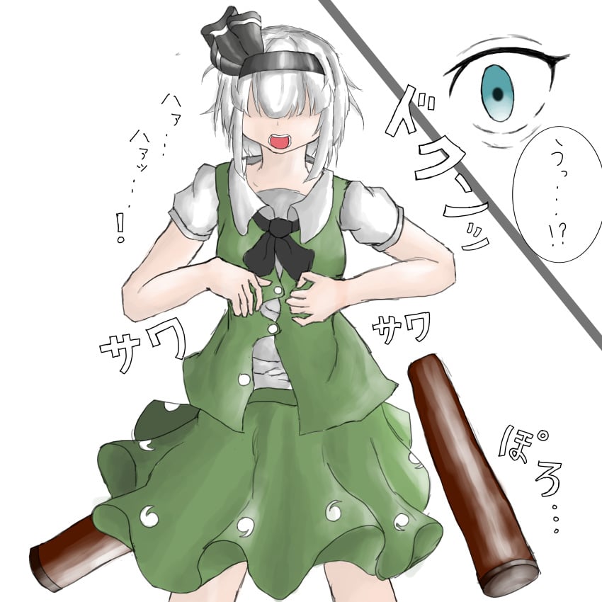 female fully_clothed hiji_o konpaku_youmu magic pre-transformation touhou transformation translation_request