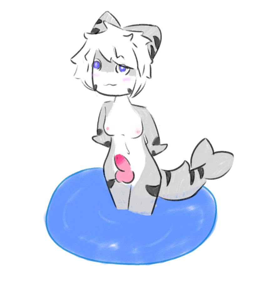 1futa anthro blue_eyes breasts changed_(video_game) furry futa_only grey_skin hands_behind_back penis standing_in_water tail tiger_shark_(changed) water white_hair