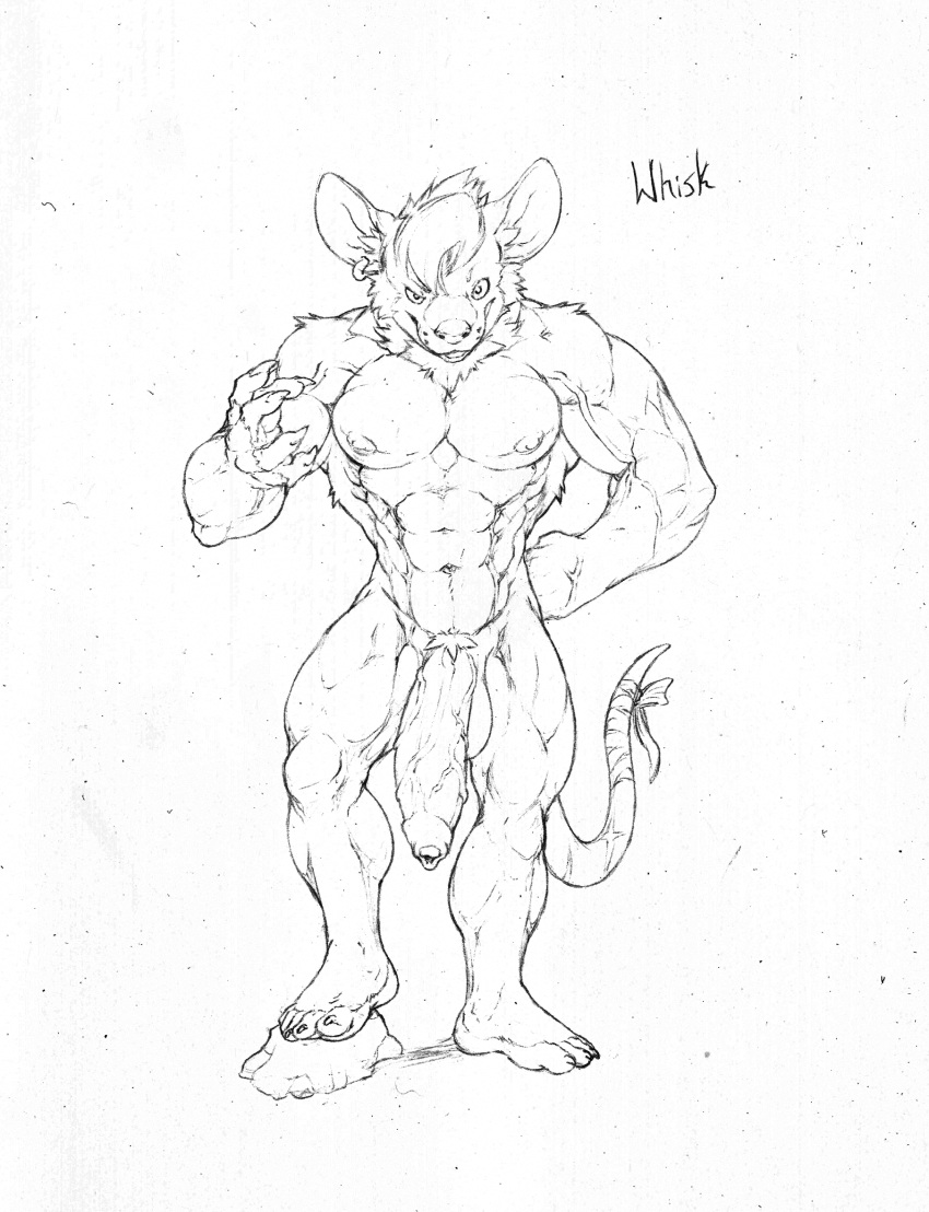 2023 abs anthro balls big_balls big_penis black_and_white ear_piercing ear_ring flaccid foreskin genitals hi_res humanoid_genitalia humanoid_penis looking_at_viewer male mammal monochrome murid murine muscular muscular_male neck_tuft nipples pecs penis piercing plantigrade pubes rat ring_piercing rodent solo solo_male tuft utx-shapeshifter vein veiny_muscles veiny_penis