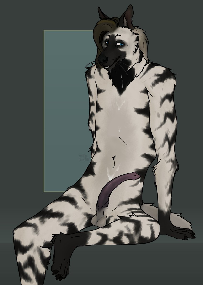 absurd_res anatomically_correct anthro balls bodily_fluids cum cum_on_self erection genital_fluids genitals hair hi_res hyaenid_penis hyena male mammal penis solo strana_(artist) striped_body striped_hyena stripes whiskers