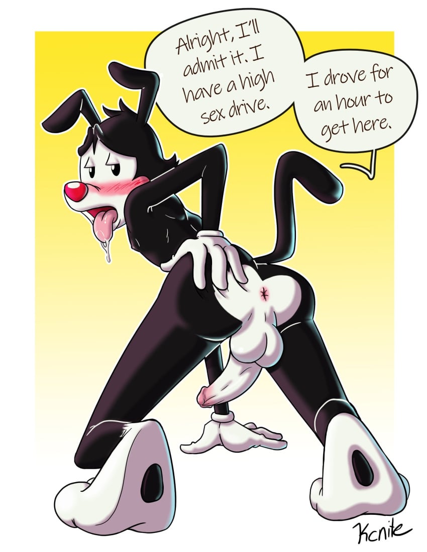 1boy animaniacs anthro anus ass balls blush genitals hi_res humanoid_genitalia humanoid_penis humor kcnite looking_back male male/male male_only mammal penis presenting presenting_hindquarters pun solo tongue tongue_out warner_brothers yakko_warner