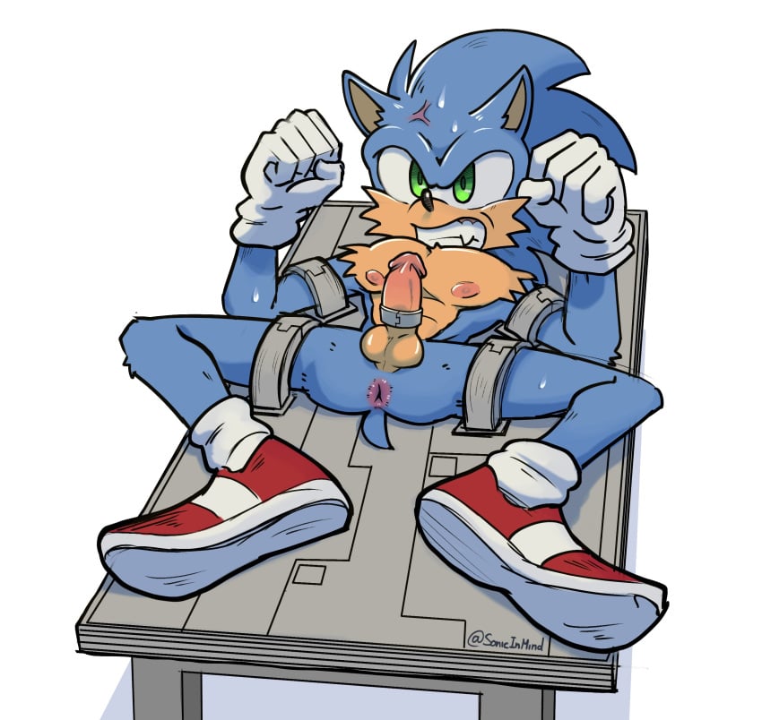 absurd_res anthro anus balls bound clothing cross-popping_vein erection eulipotyphlan exposed_torso footwear furniture genitals handwear hedgehog hi_res humanoid_genitalia humanoid_penis male mammal mobian_(species) movie_sonic nipples on_table penis sega shoes solo sonic_(series) sonic_the_hedgehog sonic_the_hedgehog_(film) sonic_the_hedgehog_(series) sonicinmind spread_legs spreading table