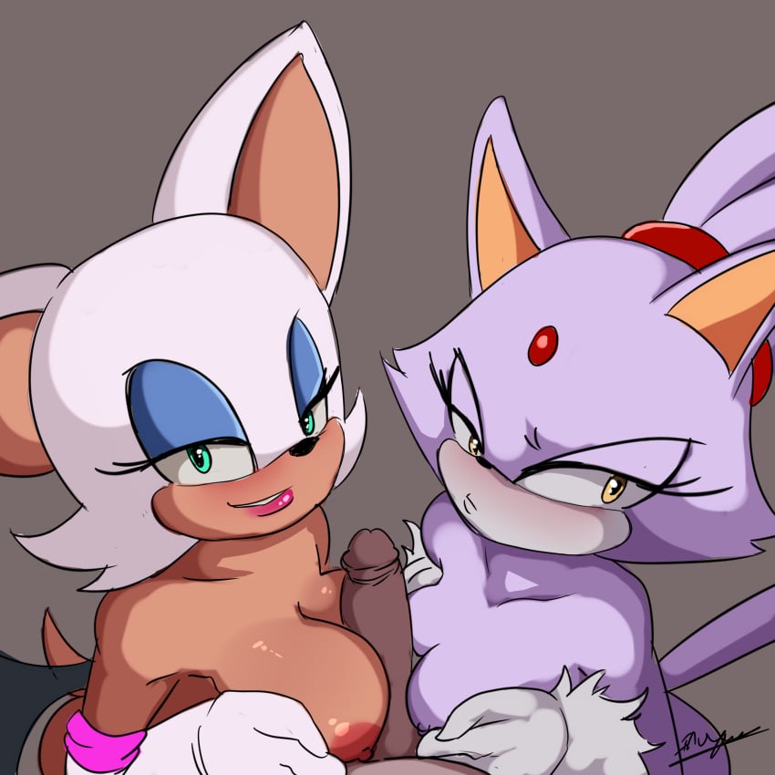 absurd_res anthro bat big_breasts blaze_the_cat blush breast_play breasts collaborative collaborative_sex collaborative_titfuck domestic_cat felid feline felis female genitals group hi_res human inuyuru large_breasts male male/female mammal nipples paizuri penis rouge_the_bat sega sex small_breasts sonic_(series) sonic_the_hedgehog_(series) threesome titfuck titjob trio