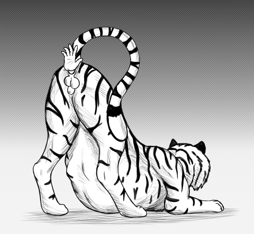 achilles_(achilles4) ambiguous_gender anal anal_vore animal_genitalia ass_up balls duo felid feline feral feral_pred genitals hi_res human human_prey male male_focus male_pred mammal monochrome pantherine raised_tail sheath simple_background stomach_bulge stripes tail thatgryphonguy tiger vore