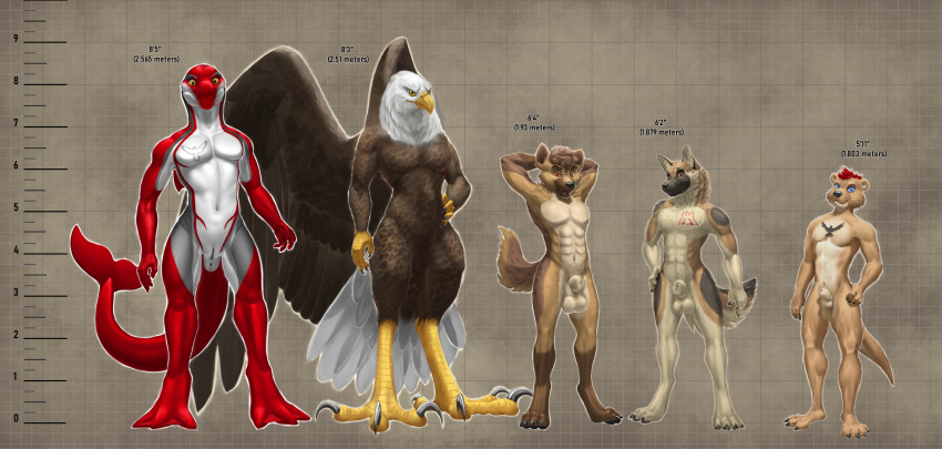 2023 absurd_res accipitrid accipitriform alcander amber_eyes animal_genitalia anthro athletic avian bald_eagle balls beak bird black_body black_fur black_nose black_skin blue_eyes brown_body brown_eyes brown_feathers brown_fur canid canine canis cetacean chart chest_tattoo digitigrade dolphin domestic_dog dorsal_fin dsw7 eagle feathered_wings feathers fin fur fur_markings genital_slit genitals german_shepherd grey_body grey_skin group hair hand_on_hip hands_behind_head height_chart height_comparison herding_dog hi_res hyena jarl_hyena krieg_gsd lontra looking_at_viewer male male_only mammal marine markings membrane_(anatomy) muscle_tone mustelid north_american_river_otter oceanic_dolphin otter pastoral_dog paws plantigrade red_body red_hair red_skin river_otter scales schwartz_otter sea_eagle sheath siader size_difference slit smile smiling_at_viewer smirk smirking_at_viewer spots spotted_body spotted_fur spotted_hyena striped_dolphin tail tail_feathers tail_fin talon_hands talons tan_body tan_fur tattoo toned_muscles toothed_whale webbed_feet webbed_hands white_body white_feathers white_skin wings yellow_body yellow_eyes yellow_scales