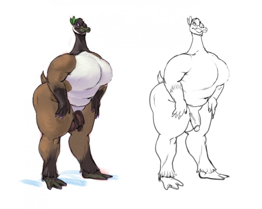 2020s 2021 anatid anseriform anserinae anthro avian beak belly big_belly big_breasts bird brachiosass breasts brown_body chubby_anthro genitals goose male membrane_(anatomy) mouth_closed nude penis purple_eyes raised_tail simple_background slightly_chubby solo solo_focus standing tail thick_thighs webbed_feet webbed_hands white_belly